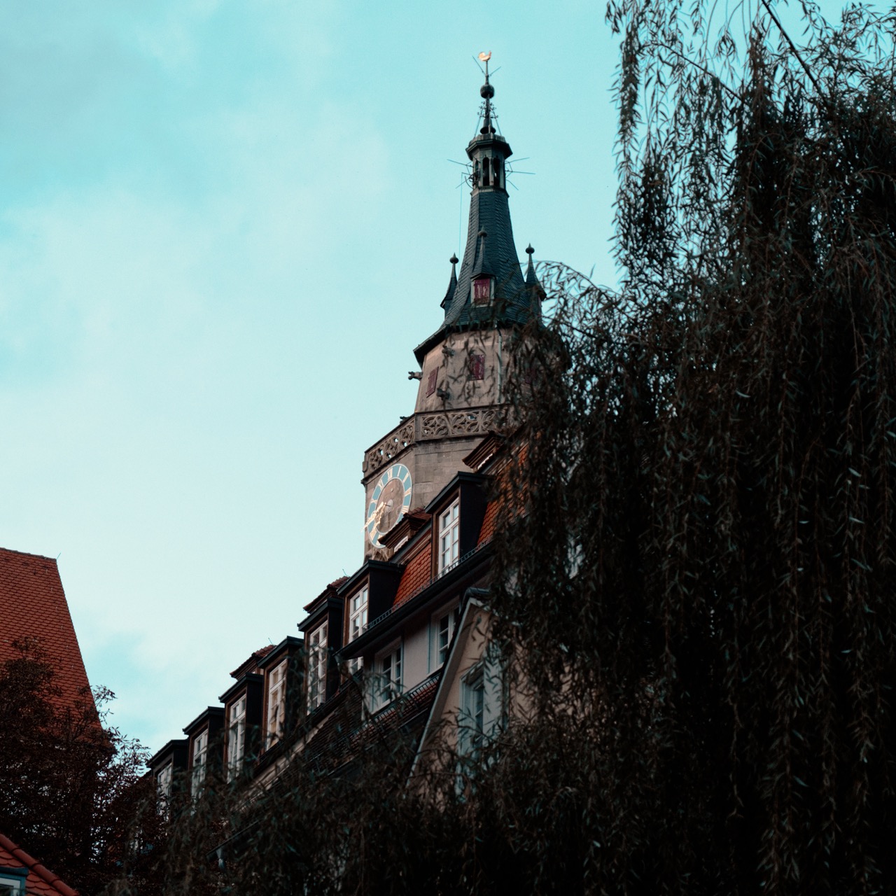 Tübingen Boat Tour