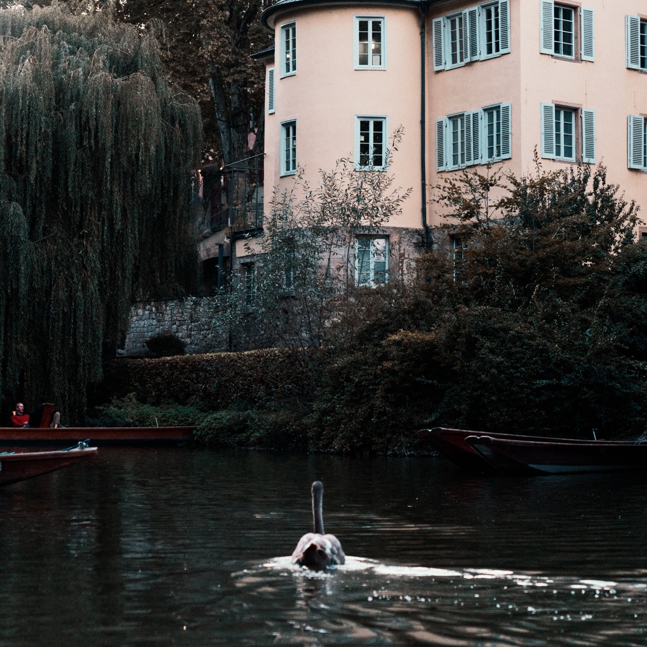 Tübingen Scenery